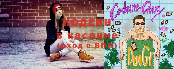 ПСИЛОЦИБИНОВЫЕ ГРИБЫ Вяземский