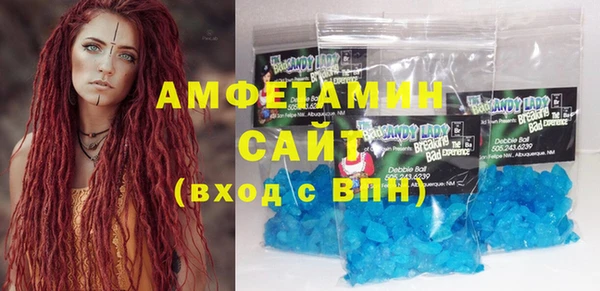 ПСИЛОЦИБИНОВЫЕ ГРИБЫ Вяземский