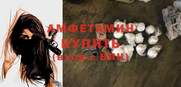 ПСИЛОЦИБИНОВЫЕ ГРИБЫ Вяземский