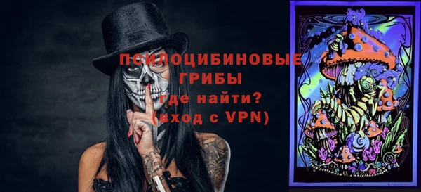 ПСИЛОЦИБИНОВЫЕ ГРИБЫ Вяземский