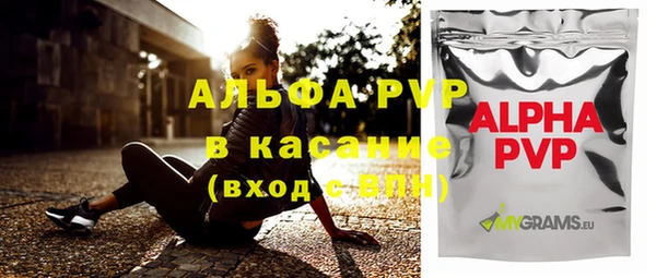 ПСИЛОЦИБИНОВЫЕ ГРИБЫ Вяземский
