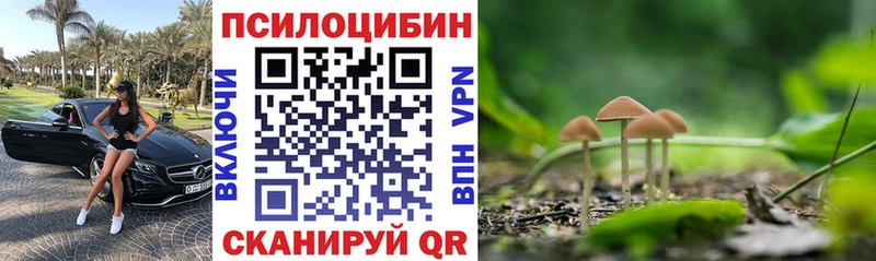 Купить закладки  Сосновый Бор  Галлюциногенные грибы мицелий 